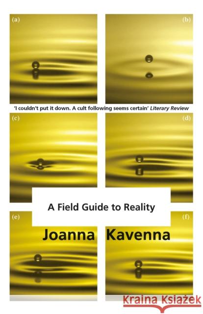 A Field Guide to Reality Joanna Kavenna 9781780872322 Quercus Publishing - książka