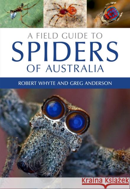 A Field Guide to Spiders of Australia Robert Whyte Greg Anderson Tim Low 9780643107076 CSIRO Publishing - książka