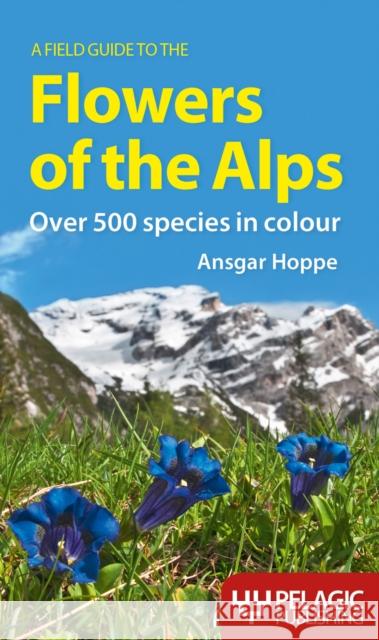 A Field Guide to the Flowers of the Alps Angsar Hoppe   9781907807404 Pelagic Publishing - książka