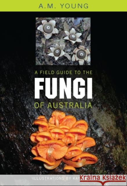 A Field Guide to the Fungi of Australia Tony Young A. M. Young 9780868407425 University of New South Wales Press - książka