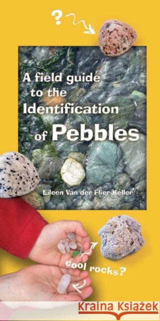 A Field Guide to the Identification of Pebbles Eileen Va 9781550173956 Harbour - książka