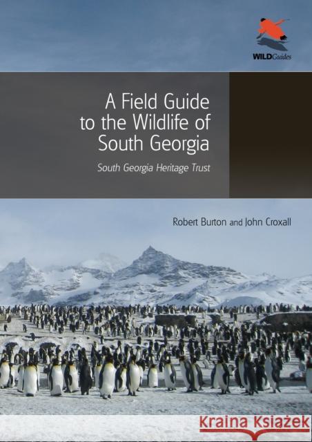 A Field Guide to the Wildlife of South Georgia Robert Burton 9780691156613  - książka
