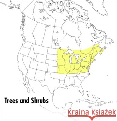 A Field Guide to Trees and Shrubs: Northeastern and North-Central United States and Southeastern and South-Central Canada George A. Petrides George A. Petrides Roger Tory Peterson 9780395353707 Houghton Mifflin Company - książka