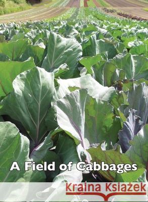 A Field of Cabbages Allen Frost Aaron Gunderson 9781647643867 Good Deed Rain - książka