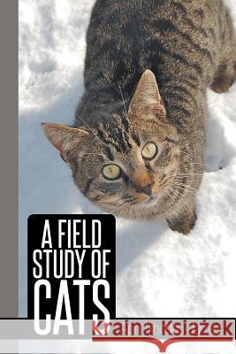 A Field Study of Cats April Rhode 9781493163526 Xlibris Corporation - książka