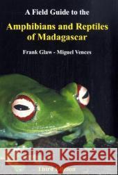 A Fieldguide to the Amphibians and Reptiles of Madagascar Glaw, Frank Vences, Miguel  9783929449037 Chimaira - książka