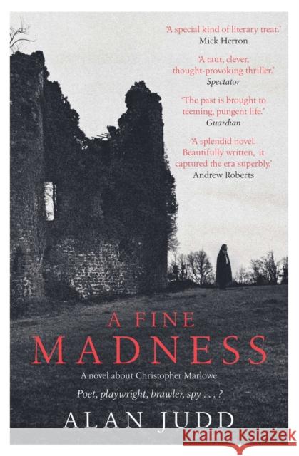 A Fine Madness: Sunday Times 'Historical Fiction Book of the Month' ALAN JUDD 9781471180248 Simon & Schuster Ltd - książka