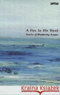 A Fire in His Head: Stories of Wandering Aengus Loreto Todd 9780862787578 O'Brien Press - książka