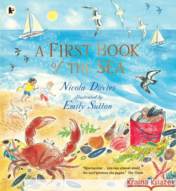 A First Book of the Sea Nicola Davies 9781406391015 Walker Books Ltd - książka