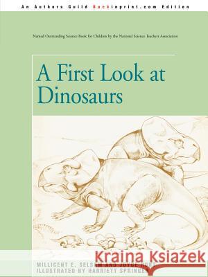 A First Look at Dinosaurs Joyce Hunt 9780595340538 Backinprint.com - książka