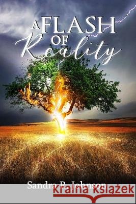 A Flash of Reality Sandra R Johnson 9781513690827 Movement Publishers - książka