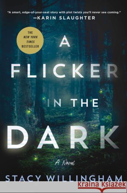 A Flicker in the Dark Stacy Willingham 9781250803825 Minotaur Books - książka