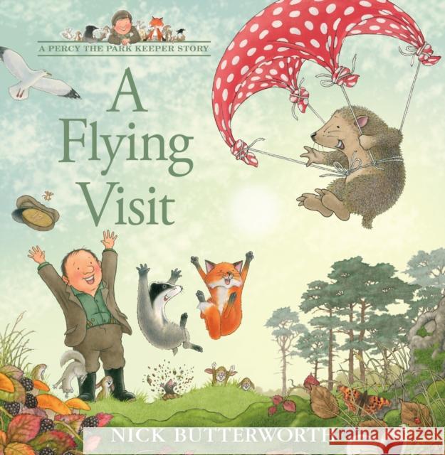 A Flying Visit Nick Butterworth 9780008455569 HarperCollins Publishers - książka