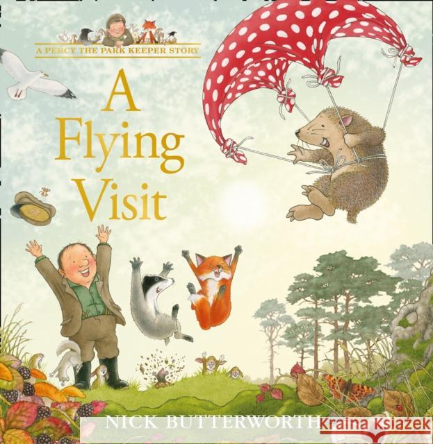 A Flying Visit Nick Butterworth 9780008455620 HarperCollins Publishers - książka