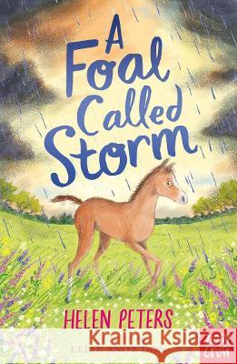 A Foal Called Storm Helen Peters 9781788009515 Nosy Crow Ltd - książka