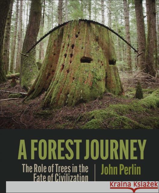 A Forest Journey: The Role of Trees in the Fate of Civilization Perlin, John 9781938340970 Patagonia - książka