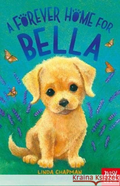 A Forever Home for Bella Linda Chapman 9781788009553 Nosy Crow Ltd - książka