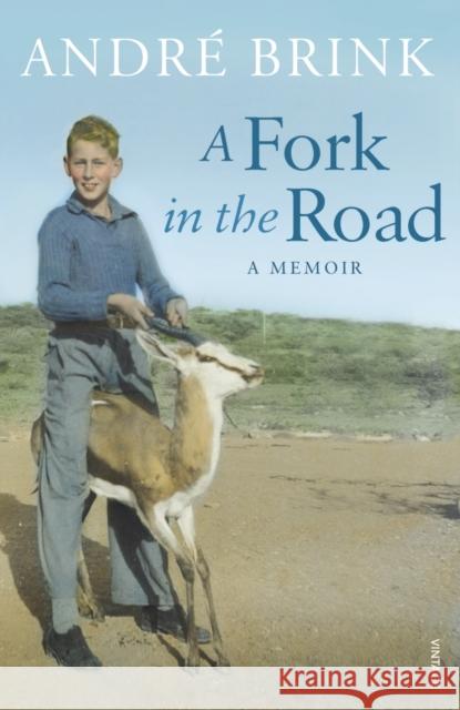 A Fork in the Road Andre Brink 9780099527039  - książka