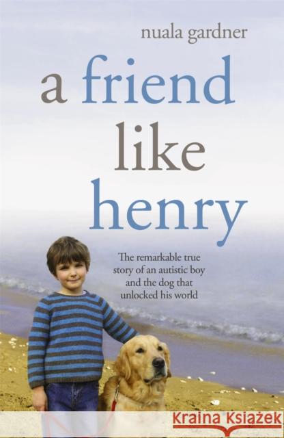 A Friend Like Henry Nuala Gardner 9780340934029  - książka