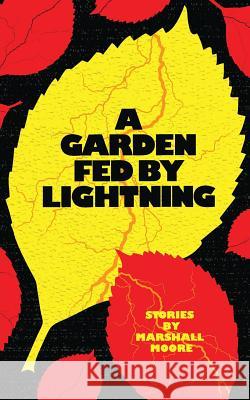 A Garden Fed by Lightning Marshall Moore 9789881219831 Signal 8 Press - książka