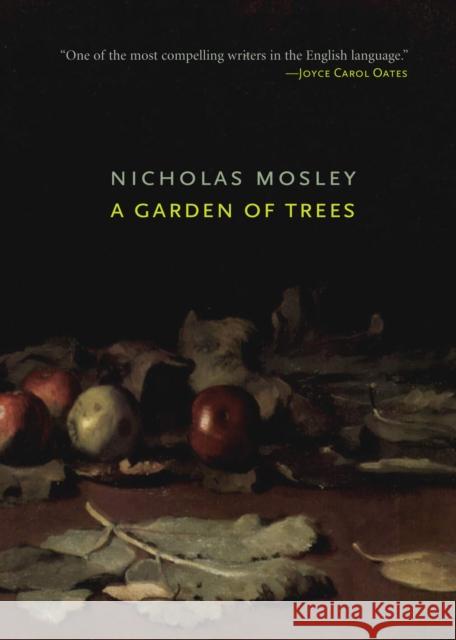 A Garden of Trees Nicholas Mosley 9781564787187 Dalkey Archive Press - książka