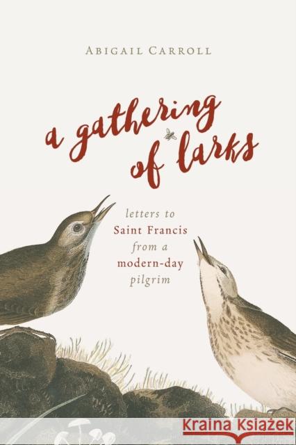 A Gathering of Larks: Letters to Saint Francis from a Modern-Day Pilgrim Abigail Carroll 9780802874450 William B. Eerdmans Publishing Company - książka