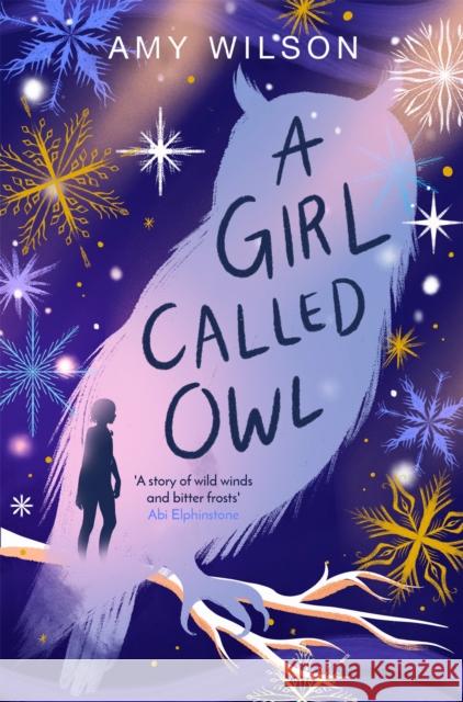 A Girl Called Owl Amy Wilson 9781529057751 Pan Macmillan - książka