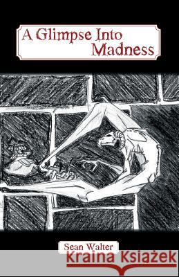 A Glimpse Into Madness Sean Walter   9780996094702 Sean Walter - książka