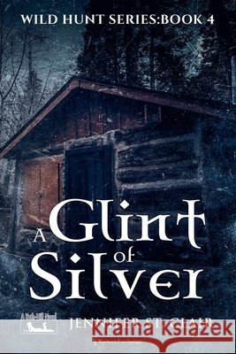 A Glint of Silver Jennifer St Clair 9798201669188 Writers Exchange E-Publishing - książka