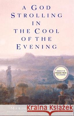 A God Strolling in the Cool of the Evening Mario d Mario De Carvalho Gregory Rabassa 9780802137746 Grove Press - książka