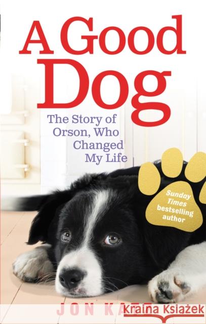 A Good Dog : The Story of Orson, Who Changed My Life Jon Katz 9780091932251 EBURY PRESS - książka