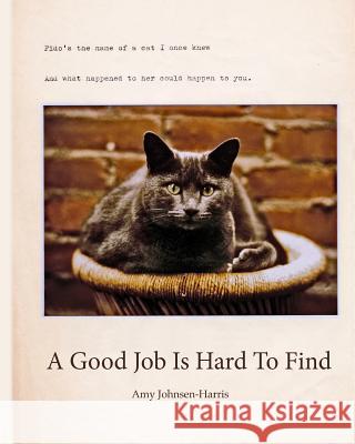 A Good Job Is Hard To Find Johnsen-Harris, Amy 9781979503112 Createspace Independent Publishing Platform - książka