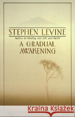 A Gradual Awakening Stephen Levine 9780385262187 Anchor Books - książka