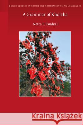 A Grammar of Khortha Netra P 9789004712669 Brill - książka
