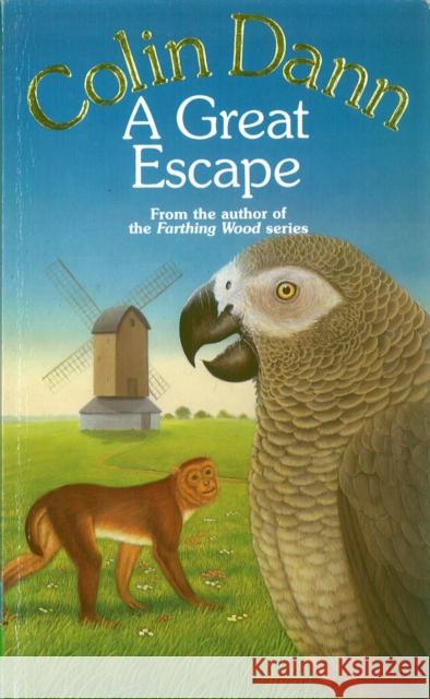 A Great Escape Dann, Colin 9781849415286  - książka