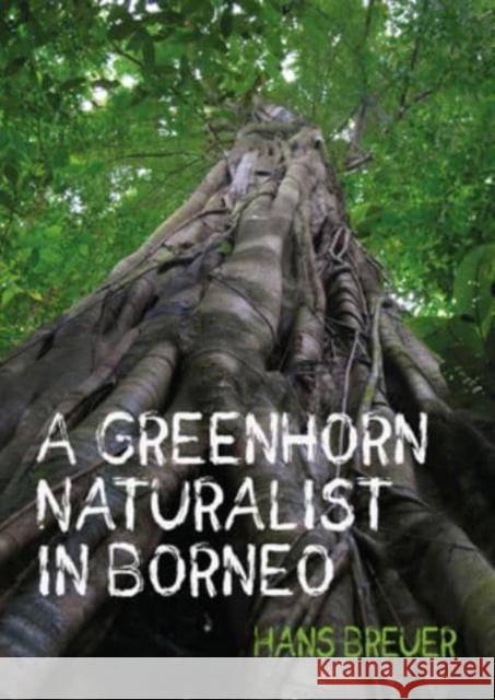 A Greenhorn Naturalist in Borneo Hans Breuer 9781849955089 Whittles Publishing - książka