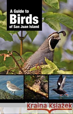 A Guide to Birds of San Juan Island Monika Wieland 9780615545950 Orca Watcher - książka