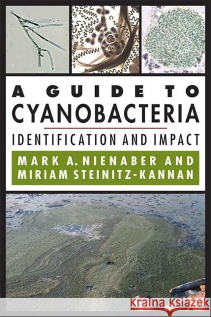 A Guide to Cyanobacteria: Identification and Impact Mark A. Nienaber Miriam Steinitz-Kannan 9780813175591 University Press of Kentucky - książka