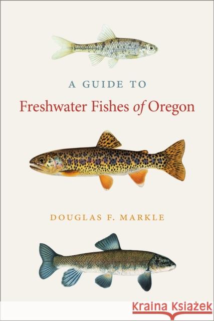 A Guide to Freshwater Fishes of Oregon Douglas F. Markle 9780870718731 Oregon State University Press - książka