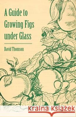 A Guide to Growing Figs Under Glass David Thomson 9781446537640 Read Books - książka