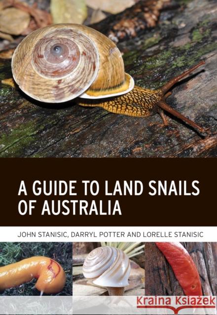 A Guide to Land Snails of Australia Lorelle Stanisic 9781486313525 CSIRO Publishing - książka