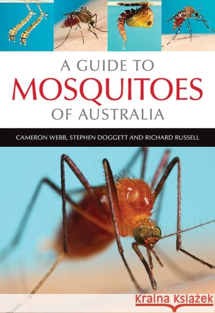 A Guide to Mosquitoes of Australia Cameron Webb Stephen Doggett Richard C. Russell 9780643100305 CSIRO Publishing - książka