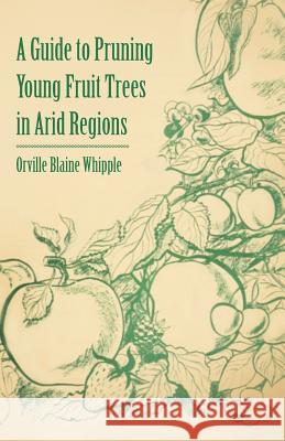 A Guide to Pruning Young Fruit Trees in Arid Regions Orville Blaine Whipple 9781446537589 Earle Press - książka