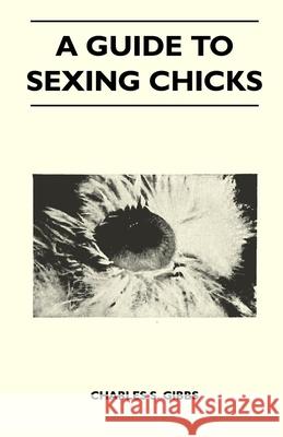 A Guide To Sexing Chicks Gibbs, Charles S. 9781446518885 Brunauer Press - książka