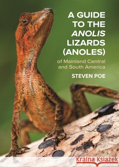 A Guide to the Anolis Lizards (Anoles) of Mainland Central and South America Steven Poe 9780691192871 Princeton University Press - książka
