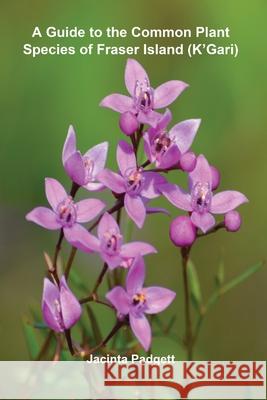 A Guide to the Common Plant Species of Fraser Island (K'Gari) Jacinta Padgett 9780648755562 Jacinta Padgett - książka