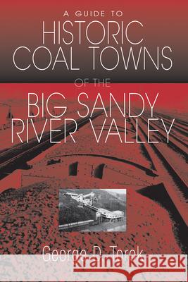 A Guide to the Historic Coal Towns: Of the Big Sandy River Valley Torok, George D. 9781572332829 University of Tennessee Press - książka