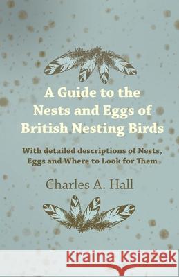 A Guide to the Nests and Eggs of British Nesting Birds - With Detailed Descriptions of Nests, Eggs, and Where to Look for Them Charles A. Hall 9781447414728 Sabine Press - książka