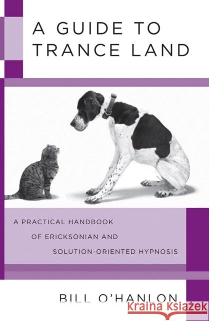 A Guide to Trance Land: A Practical Handbook of Ericksonian and Solution-Oriented Hypnosis O'Hanlon, Bill 9780393705782  - książka