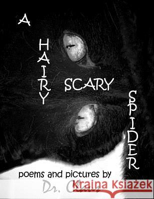 A Hairy Scary Spider Dr Claus 9781614970576 Dr. Claus Publishing - książka